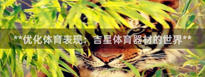 富联展示中心：**优化体育表现：吉星体育器材的世界*