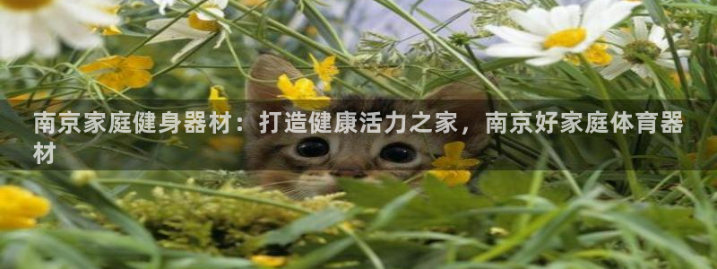 富联娱乐平台开户流程图：南京家庭健身器材：打造健康活