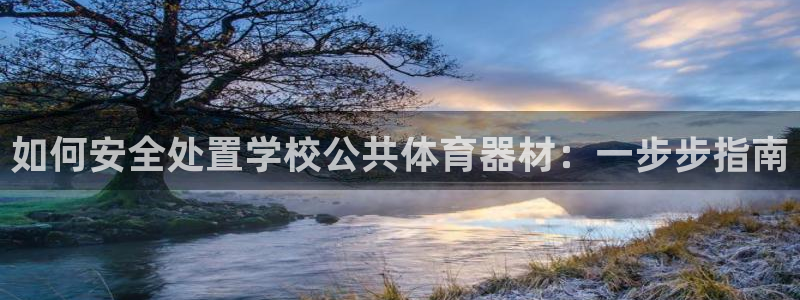富联平台登录注册：如何安全处置学校公共体育器材：一步