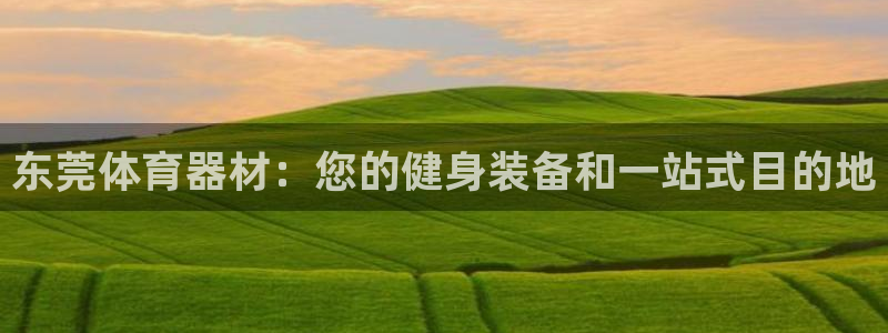 富联娱乐下载官网：东莞体育器材：您的健身装备和一站式