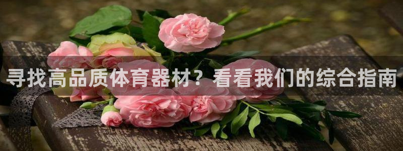 富联地产怎么样：寻找高品质体育器材？看看我们的综合指