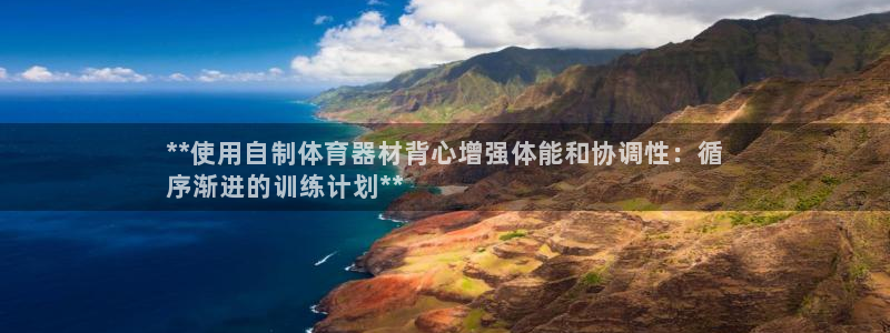 富联娱乐平台开户要钱吗现在：**使用自制体育器材背心