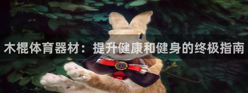 富联申购何时上市：木棍体育器材：提升健康和健身的终极