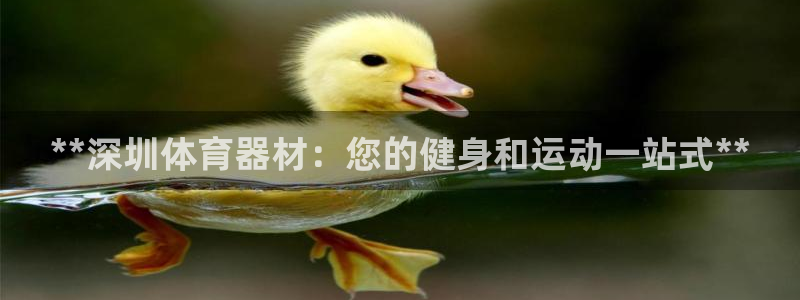 富联娱乐老板叫什么：**深圳体育器材：您的健身和运动
