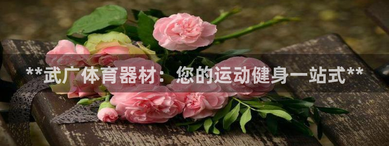 富联股份股票怎么样：**武广体育器材：您的运动健身一