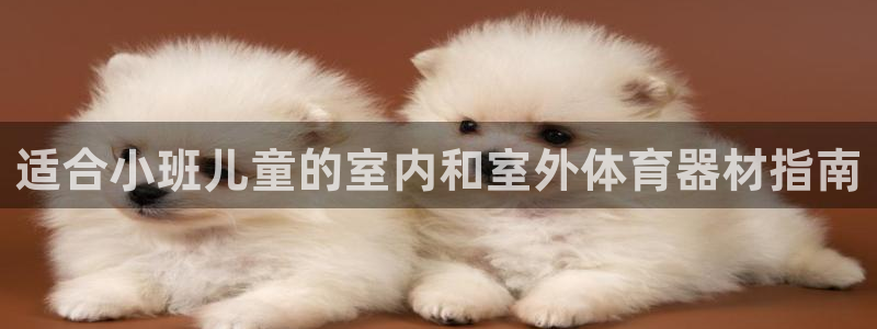 富联通讯简介：适合小班儿童的室内和室外体育器材指南