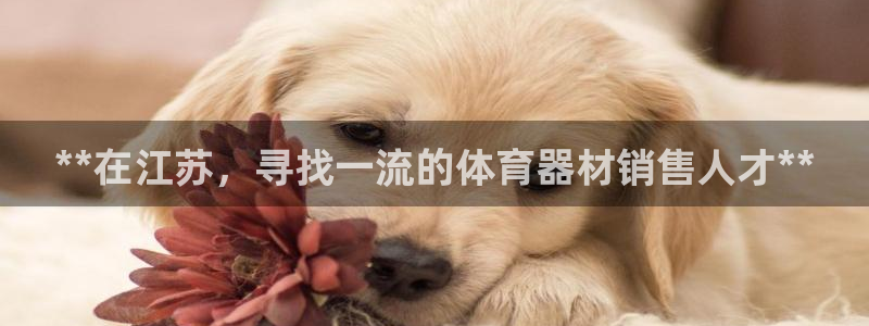 富联官方网站入口网址查询：**在江苏，寻找一流的体育