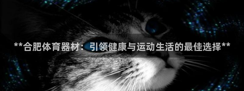 富联平台开户流程：**合肥体育器材：引领健康与运动生