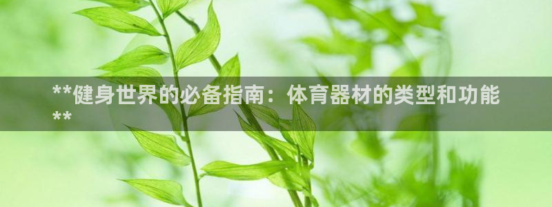 富联平台安装app：**健身世界的必备指南：体育器材