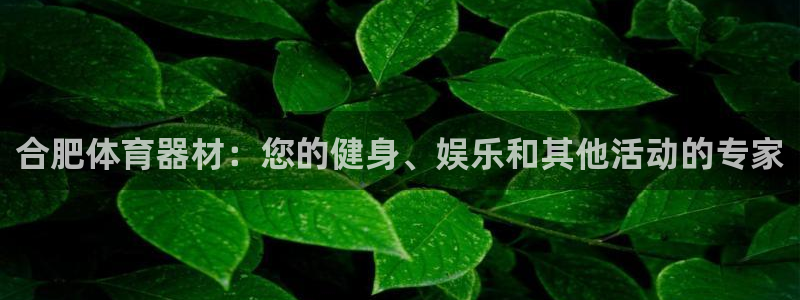 富联平台挂机：合肥体育器材：您的健身、娱乐和其他活动