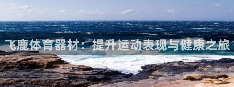 富联是什么软件：飞鹿体育器材：提升运动表现与健康之旅