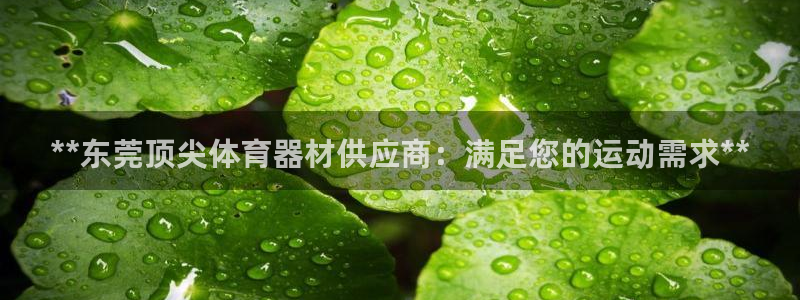 共富联盟店是不是真的：**东莞顶尖体育器材供应商：满
