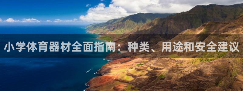 富联官方网站：小学体育器材全面指南：种类、用途和安全