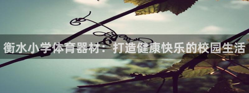 富联平台去 58534I 平台：衡水小学体育器材：打