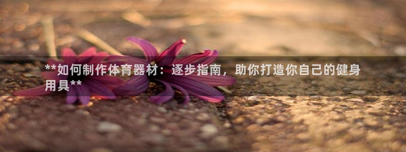 富联平台官网登录：**如何制作体育器材：逐步指南，助