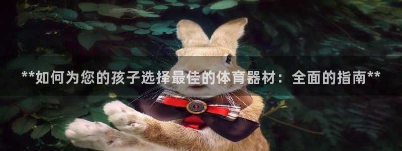 富联平台登录注册：**如何为您的孩子选择最佳的体育器