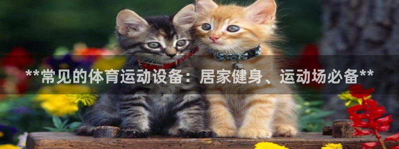 富联娱乐平台能挣到钱吗现在：**常见的体育运动设备：