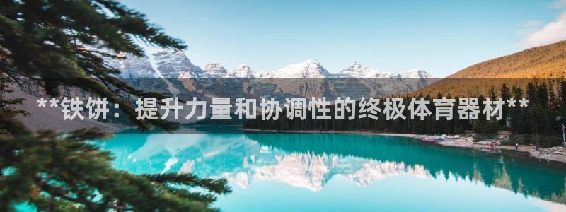 富联娱乐测速app：**铁饼：提升力量和协调性的终极