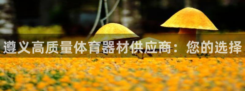 富联娱乐登录注册入口官网下载安装：遵义高质量体育器材