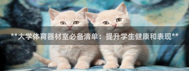 富联平台挂机：**大学体育器材室必备清单：提升学生健