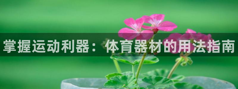 富联是什么软件：掌握运动利器：体育器材的用法指南