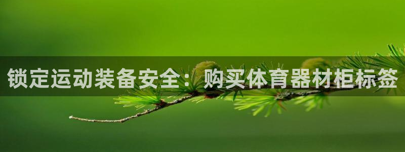 富联平台官网登录入口手机版：锁定运动装备安全：购买体