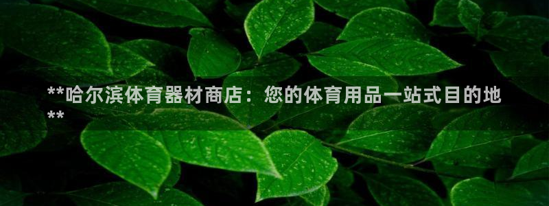 富联集团做什么的：**哈尔滨体育器材商店：您的体育用