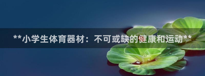 富联娱乐下载官网：**小学生体育器材：不可或缺的健康