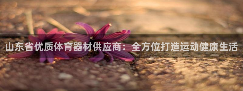 富联平台注册地址在哪里：山东省优质体育器材供应商：全