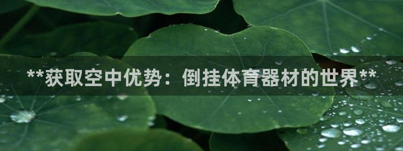 富联平台开户流程：**获取空中优势：倒挂体育器材的世