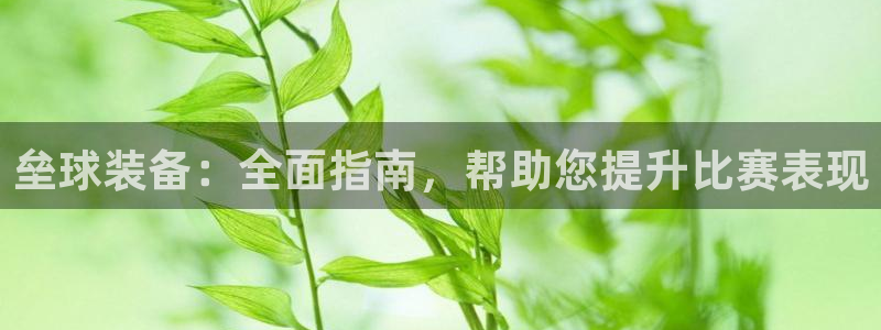 富联官网登陆：垒球装备：全面指南，帮助您提升比赛表现