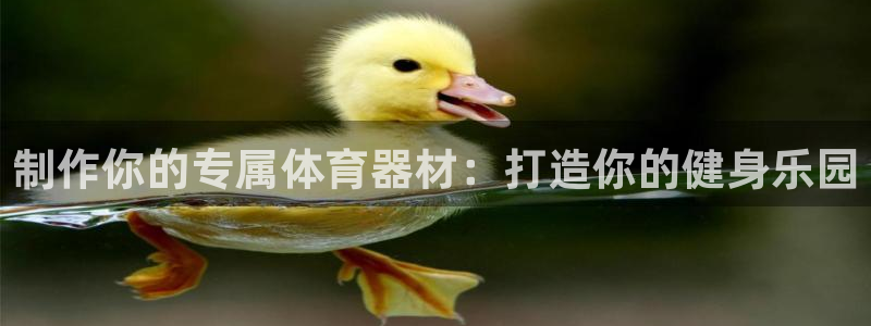 富联娱乐在线注册链接怎么弄的：制作你的专属体育器材：