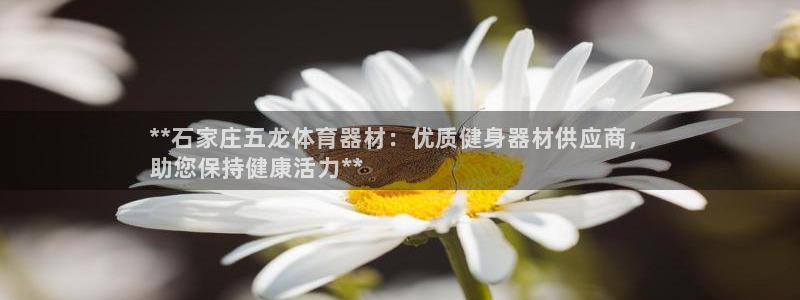 富联平台半7O777：**石家庄五龙体育器材：优质健