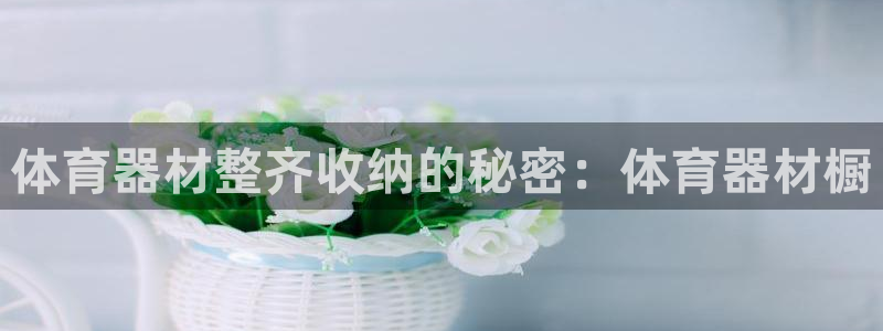 富联娱乐客服微信怎么加：体育器材整齐收纳的秘密：体育