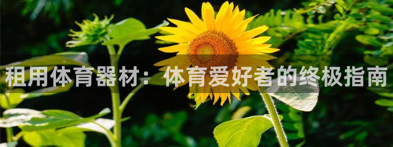 富联建工：租用体育器材：体育爱好者的终极指南