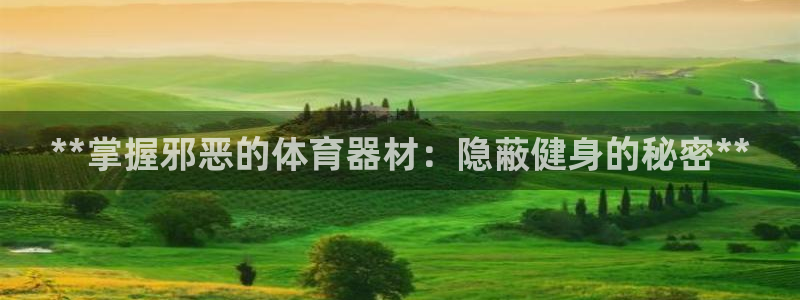 富联集团董事长：**掌握邪恶的体育器材：隐蔽健身的秘
