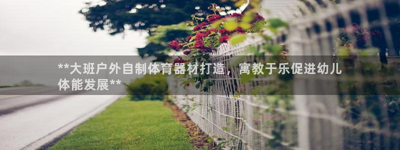 富联申购上市价格预测最新：**大班户外自制体育器材打