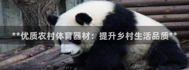 富联娱乐向 5o69I7：**优质农村体育器材：提升