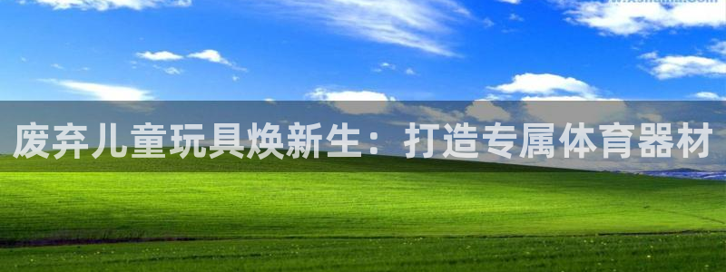 富联平台开户流程：废弃儿童玩具焕新生：打造专属体育器