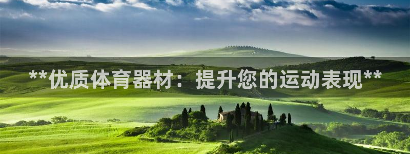 富联娱乐平台能挣到钱吗安全吗：**优质体育器材：提升