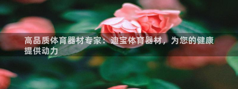 富联娱乐平台能挣到钱吗安全吗：高品质体育器材专家：迪