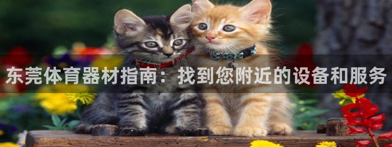 富联娱乐是什么时候开的：东莞体育器材指南：找到您附近