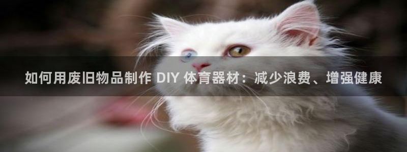 富联娱乐木 411O31 娱乐：如何用废旧物品制作 