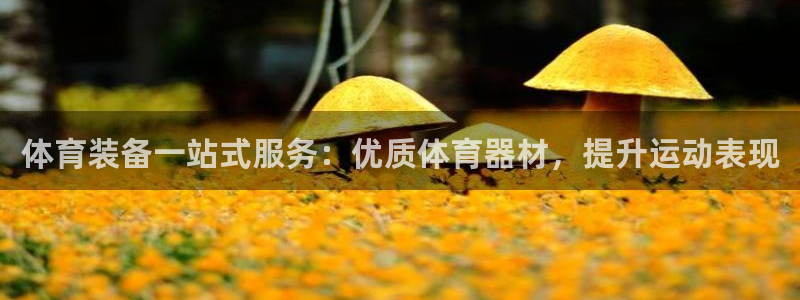 富联娱乐股东名单：体育装备一站式服务：优质体育器材，