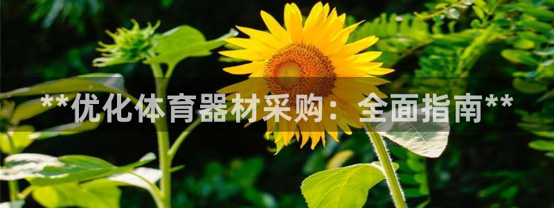 富联平台搜索 585.34I 平台：**优化体育器材