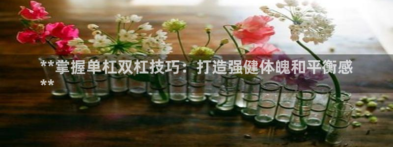 富联平台商 5O6917 平台：**掌握单杠双杠技巧