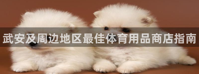 富联娱乐是什么时候开的店：武安及周边地区最佳体育用品