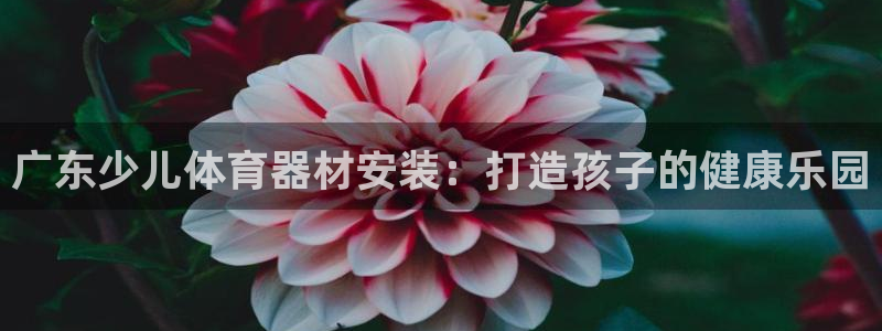 富联平台注册地址是哪里：广东少儿体育器材安装：打造孩