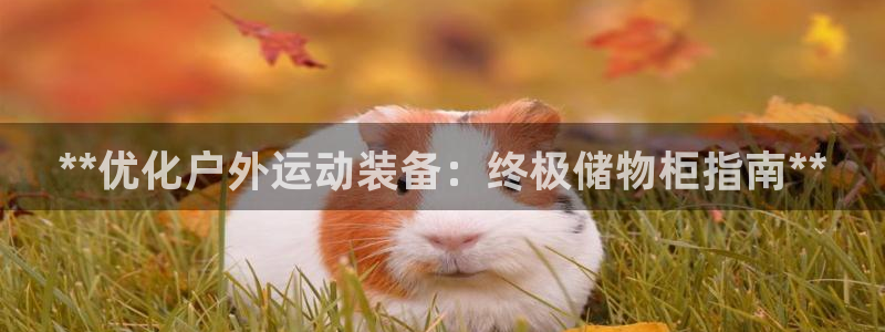 富联官方网站首页登录网址：**优化户外运动装备：终极