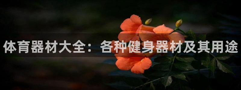 富联娱乐登录注册入口官网网址查询：体育器材大全：各种健身器材